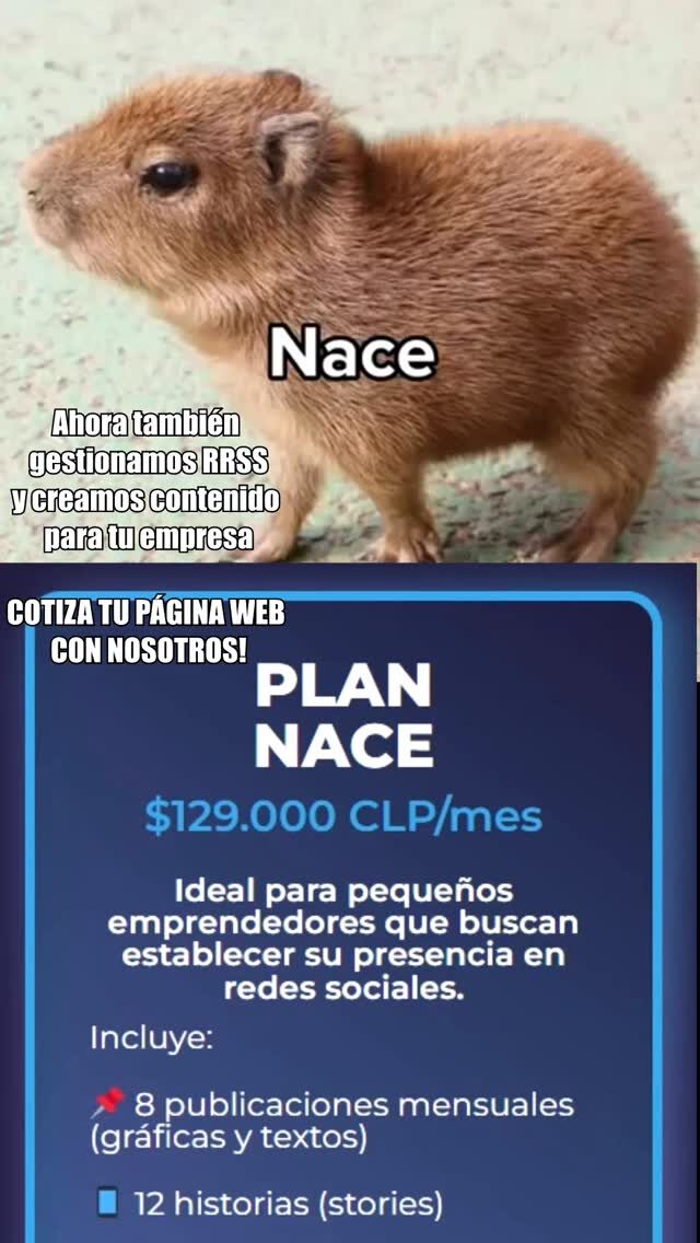 Instagram post from capibaradigital.cl. This post is in position 4.